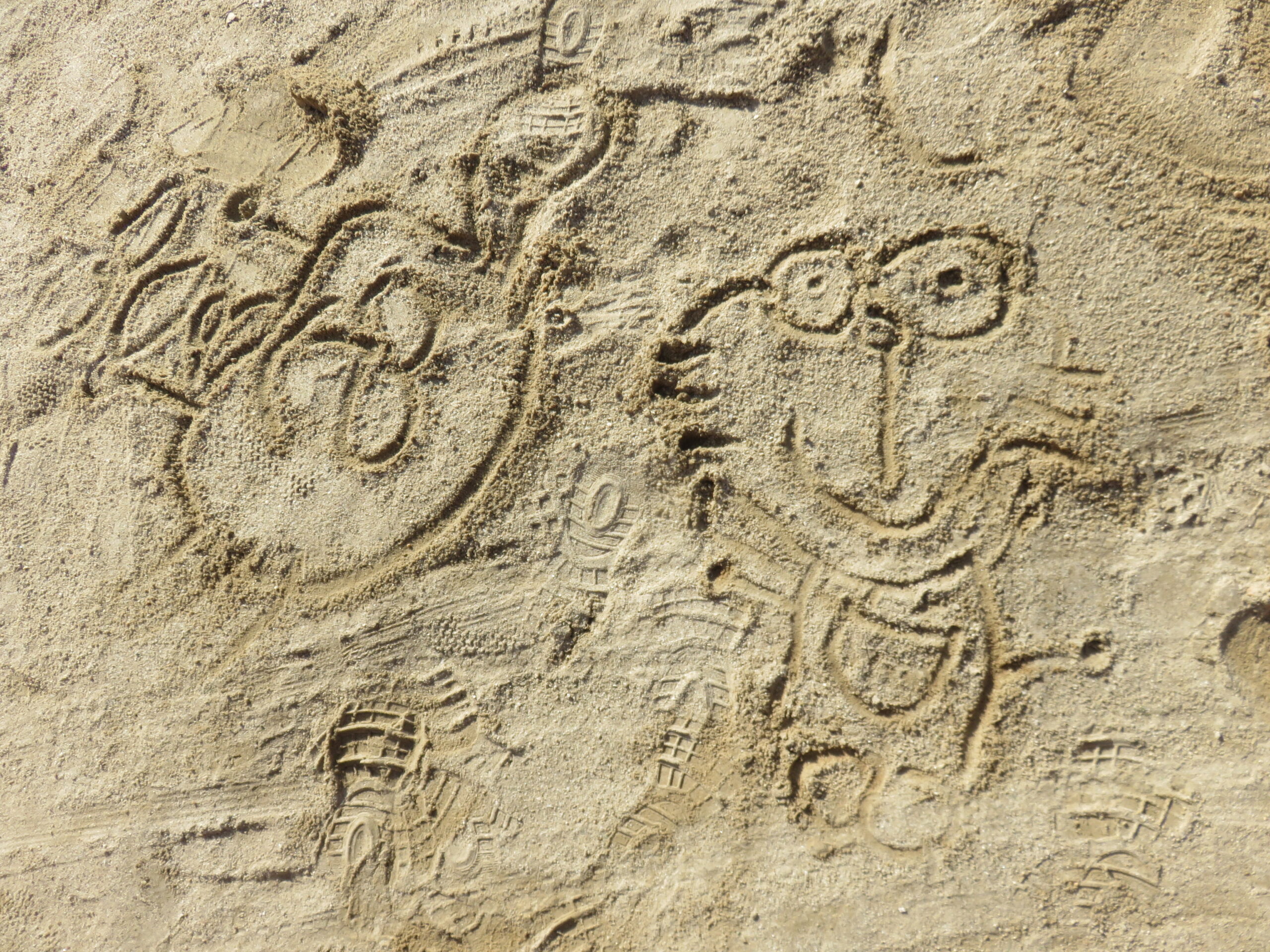 可愛い♡発見！