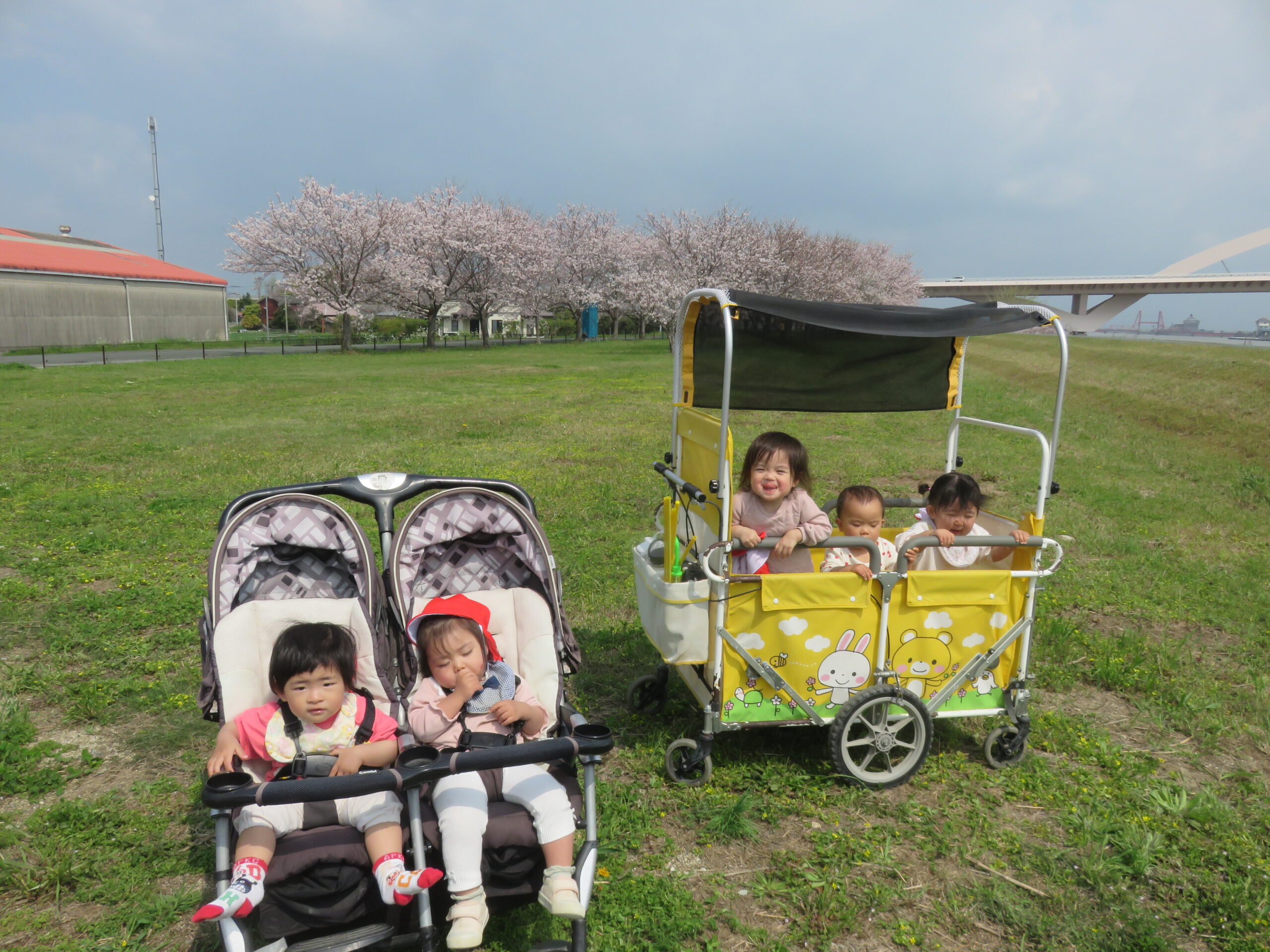 桜公園でお花見♪
